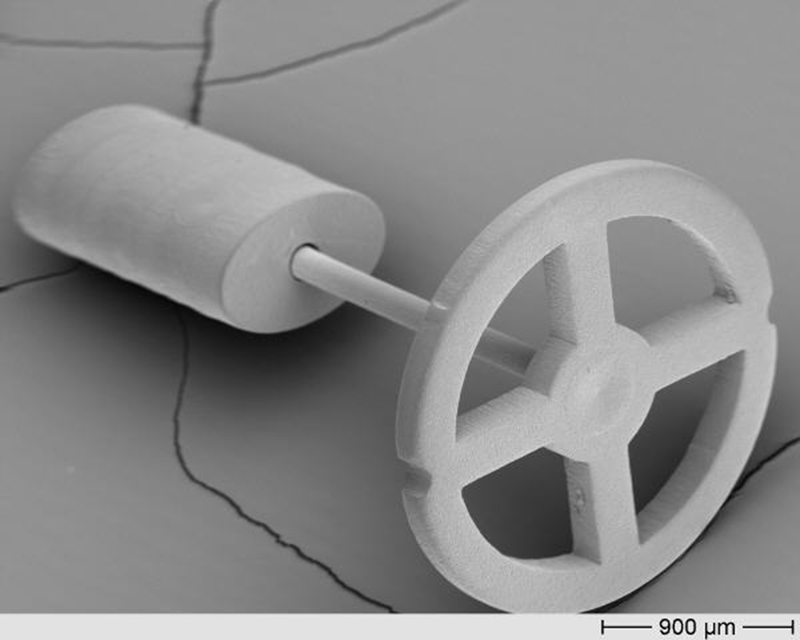 Rasterelektronen-Mikroskop-Aufnahme