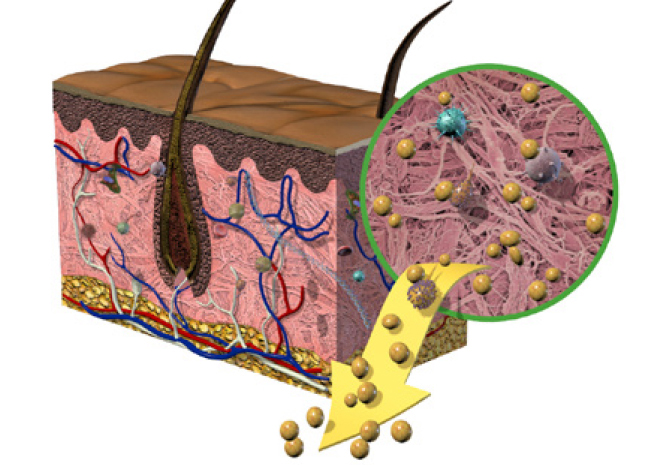 1. Alkalische Behandlung 1. Alkalische Behandlung