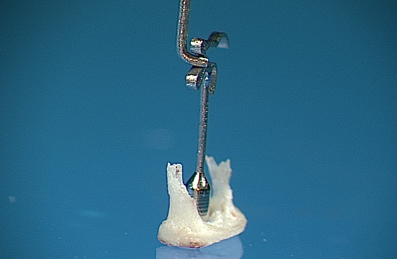 Soft-CliP Häkchen Soft-CliP Häkchen